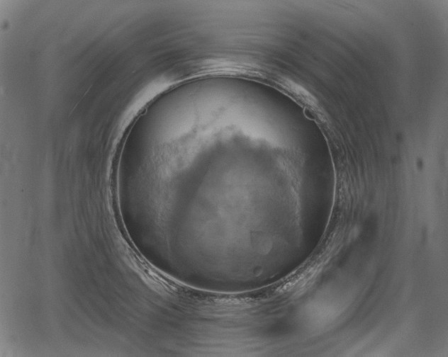 X0000067351427200604030923