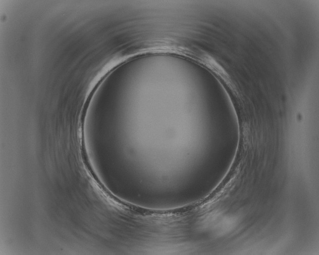 X0000067351428200604030923