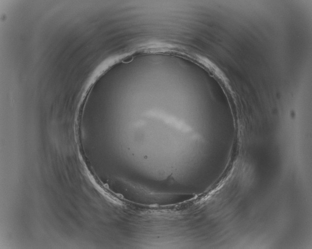 X0000067351429200604030923