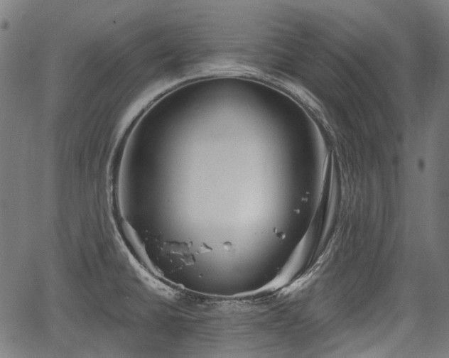 X0000067351430200604030923