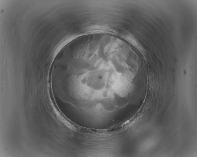 X0000067351431200604030923