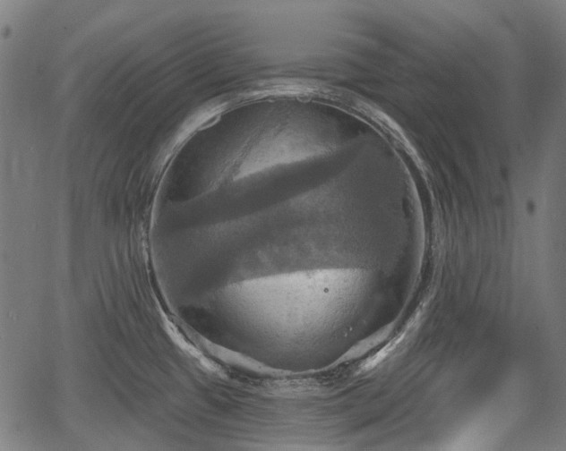 X0000067351433200604030923