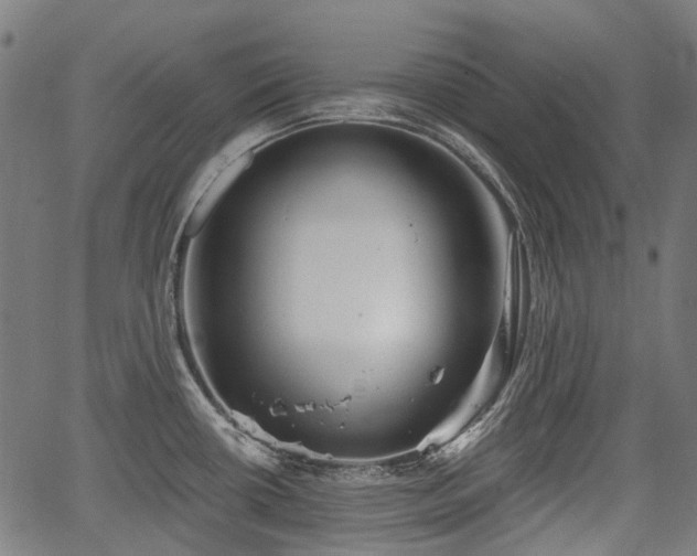 X0000067351434200604030923