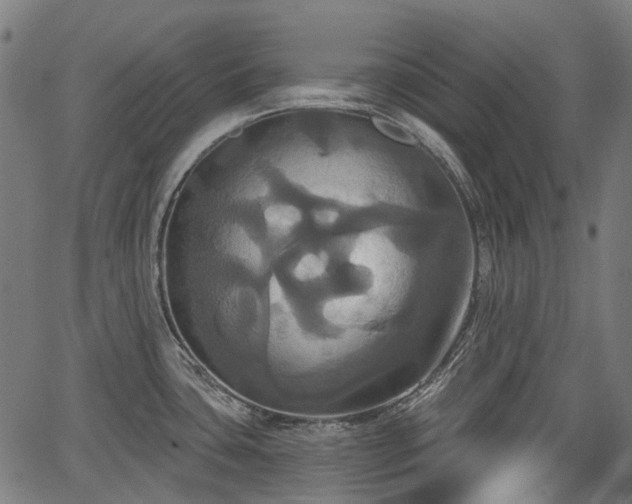 X0000067351435200604030923