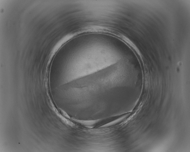 X0000067351437200604030923