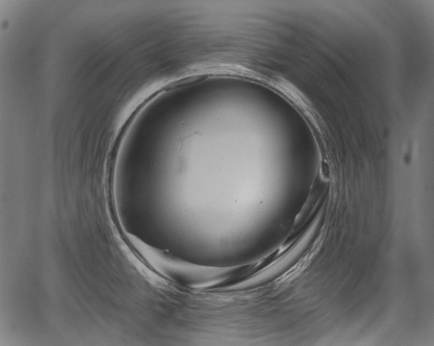 X0000067351438200604030923