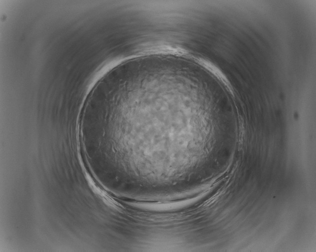 X0000067351439200604030923