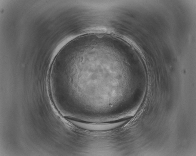 X0000067351440200604030923