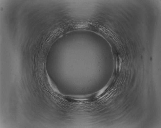 X0000067351441200604030922