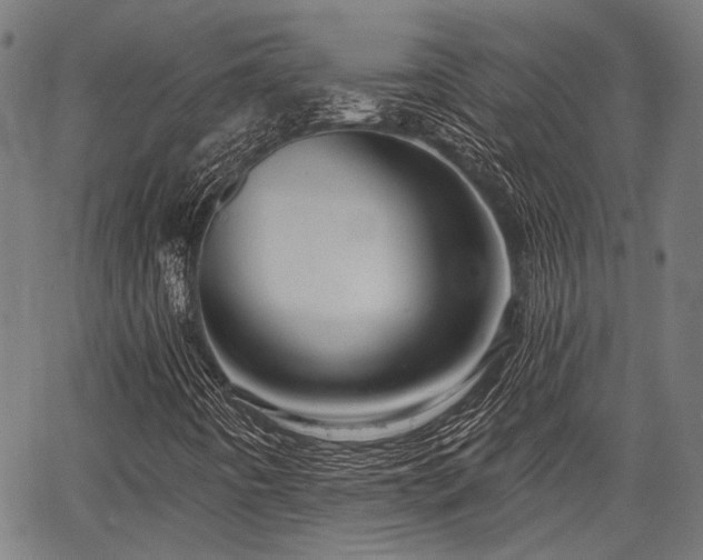 X0000067351442200604030922