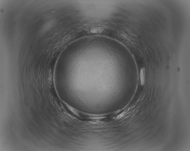 X0000067351443200604030922