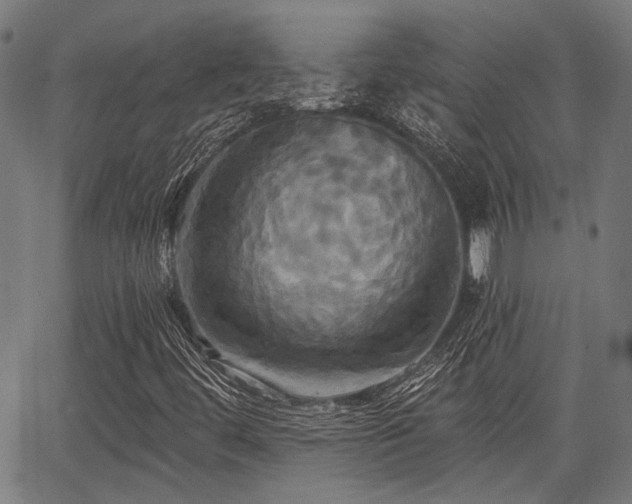 X0000067351444200604030922