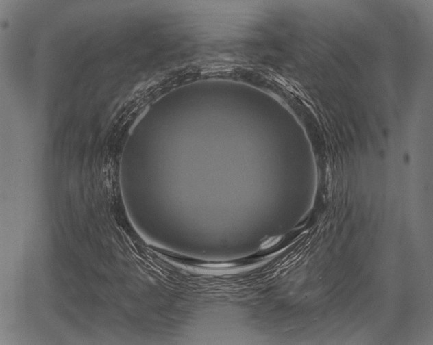 X0000067351445200604030922