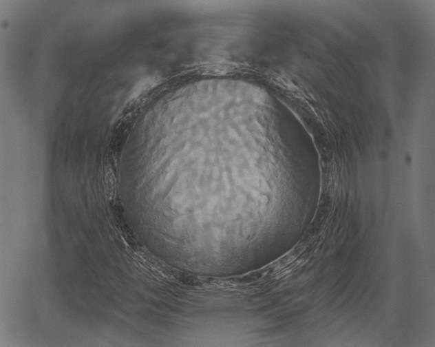 X0000067351446200604030922