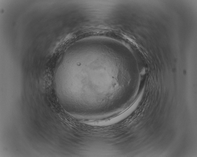 X0000067351447200604030922