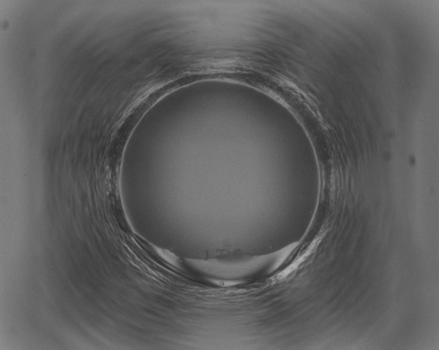 X0000067351449200604030922