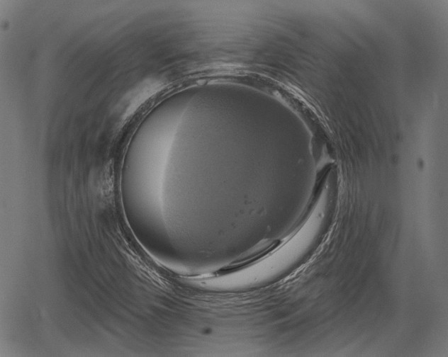 X0000067351450200604030922