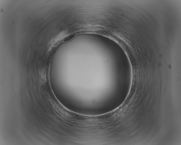 X0000067351451200604030922