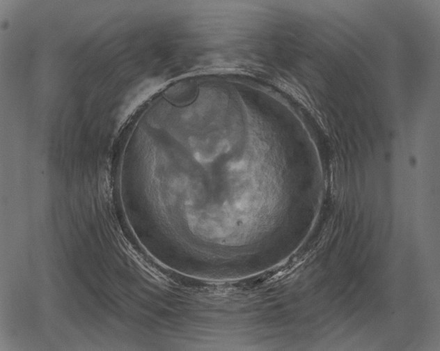 X0000067351452200604030922