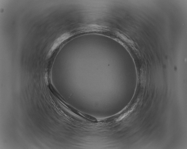 X0000067351453200604030922