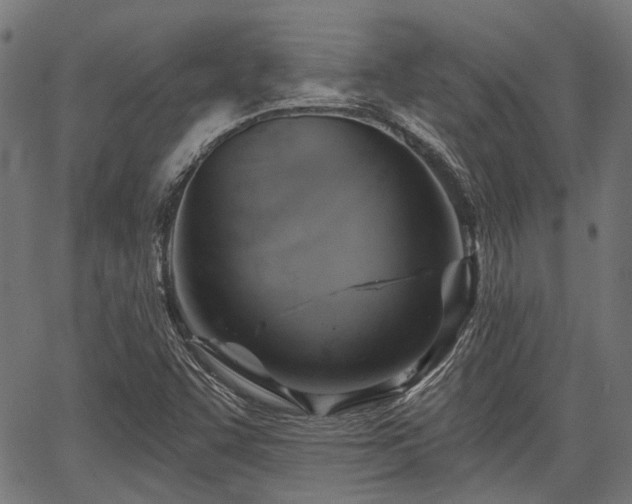 X0000067351455200604030922