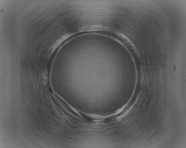 X0000067351457200604030922