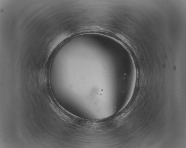 X0000067351458200604030922