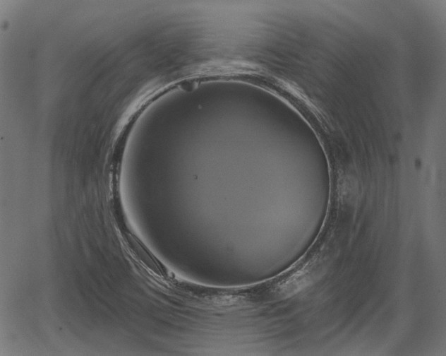 X0000067351459200604030922