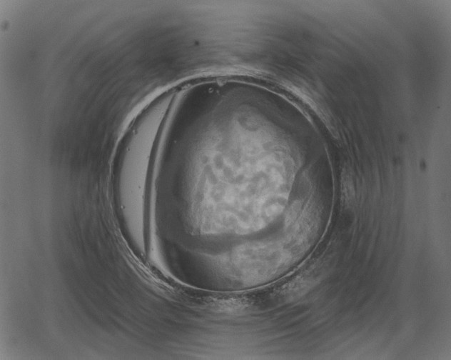 X0000067351460200604030922