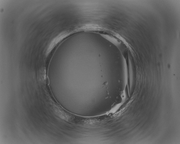 X0000067351461200604030922