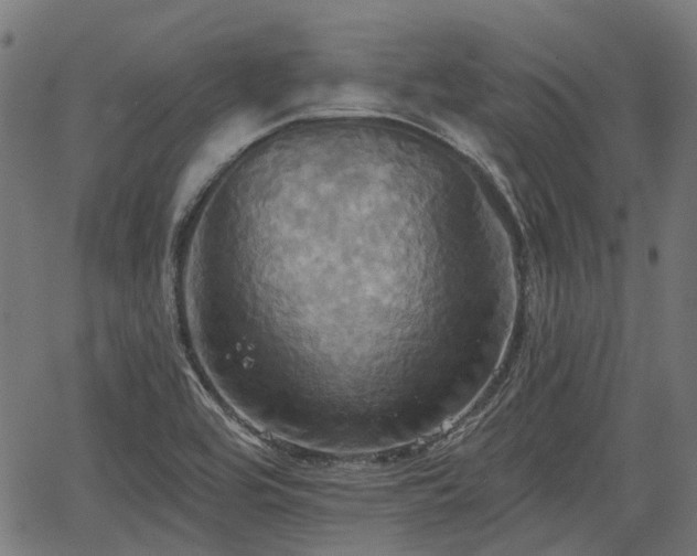 X0000067351464200604030922