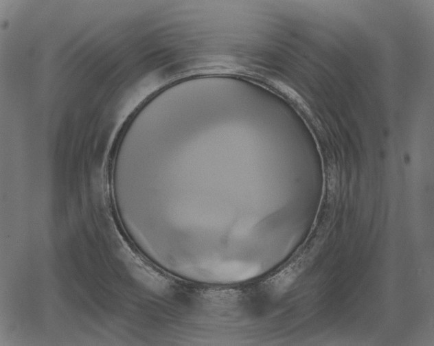 X0000067351466200604030922