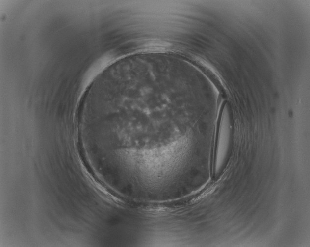 X0000067351467200604030922