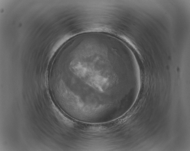 X0000067351468200604030922