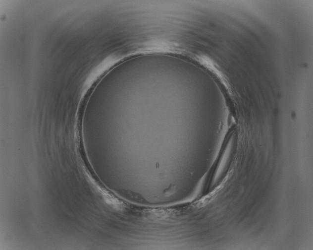 X0000067351469200604030922