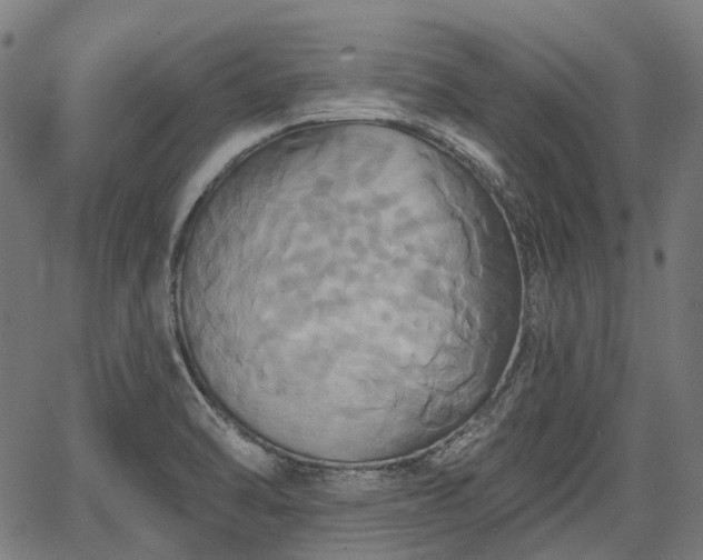 X0000067351470200604030922