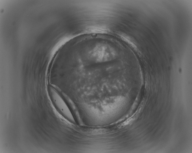 X0000067351471200604030922