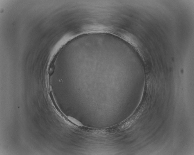 X0000067351472200604030922