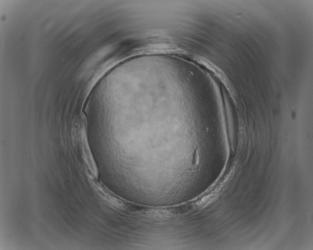 X0000067351473200604030922