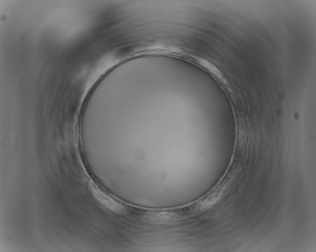 X0000067351474200604030922