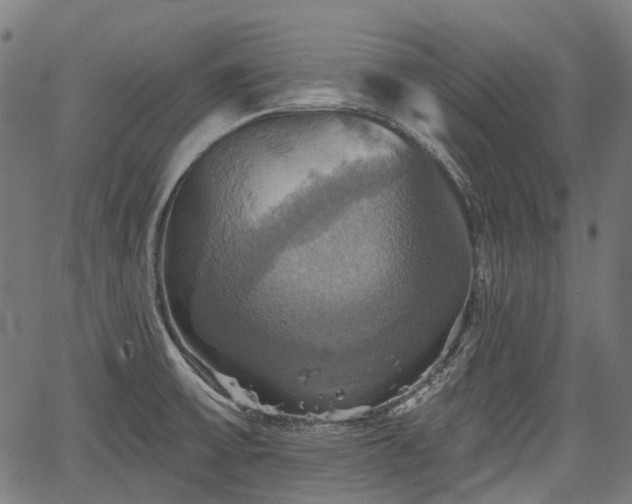 X0000067351475200604030922