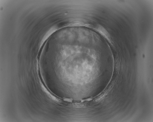 X0000067351476200604030922