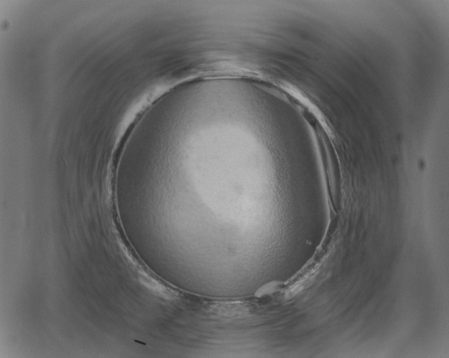 X0000067351477200604030922