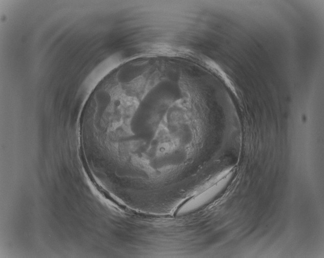 X0000067351479200604030921