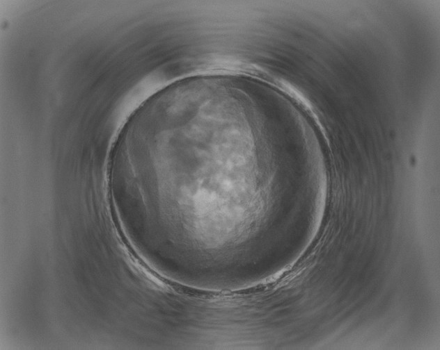 X0000067351480200604030921