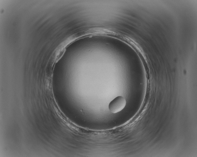 X0000067351481200604030921