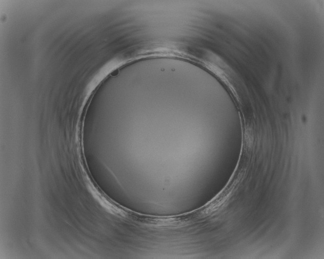 X0000067351482200604030921