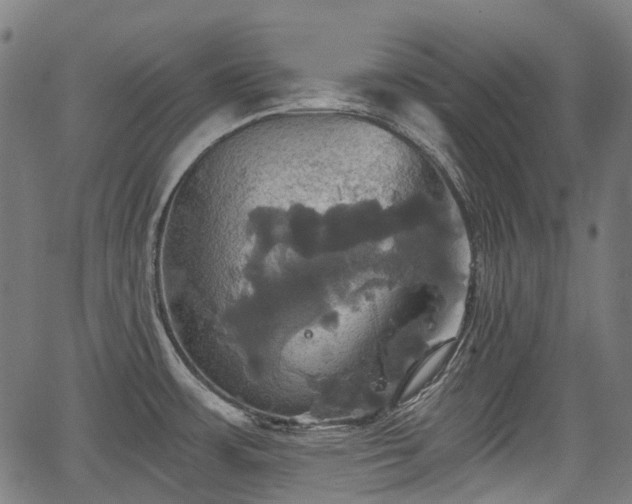 X0000067351483200604030921