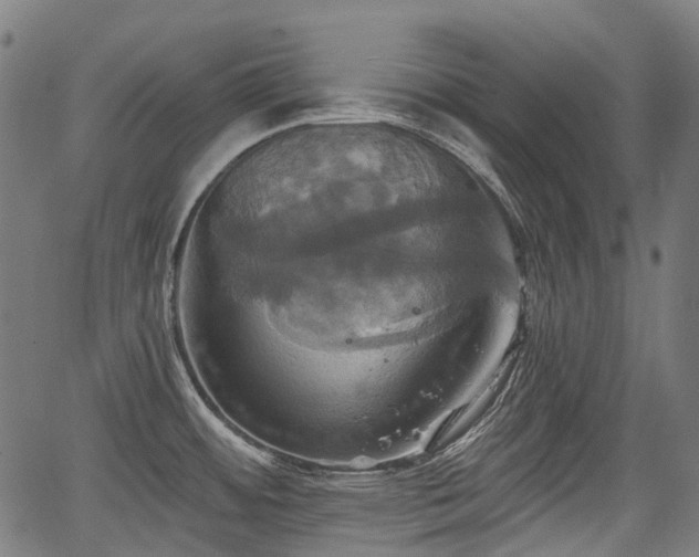 X0000067351484200604030921