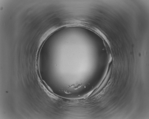 X0000067351485200604030921